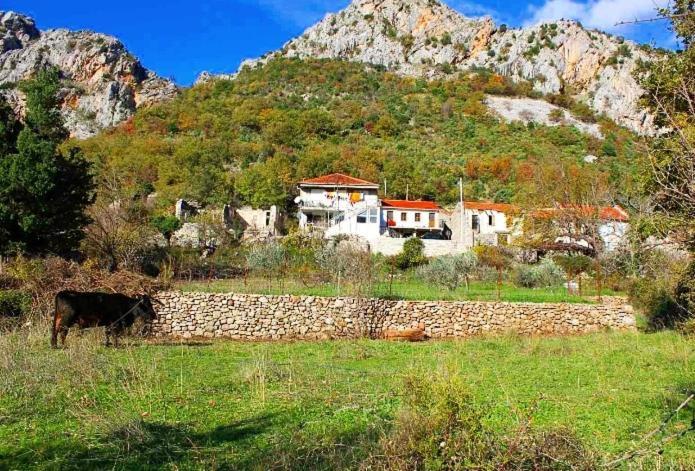 Apartmani Dumezic بار المظهر الخارجي الصورة