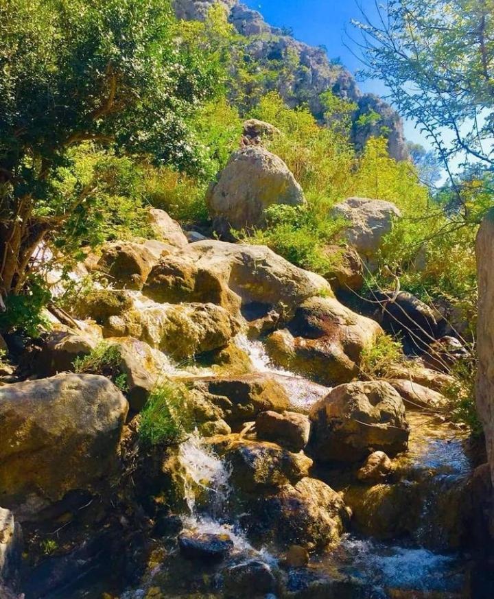 Apartmani Dumezic بار المظهر الخارجي الصورة