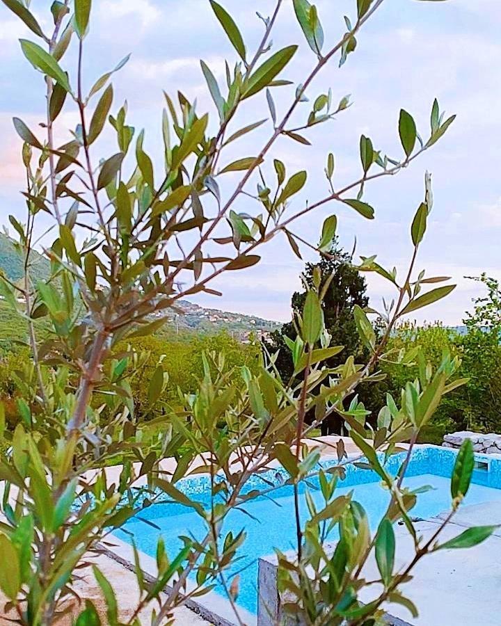 Apartmani Dumezic بار المظهر الخارجي الصورة