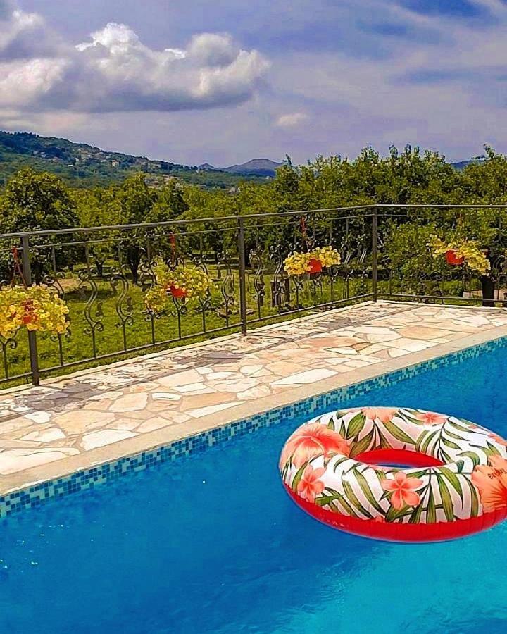 Apartmani Dumezic بار الغرفة الصورة