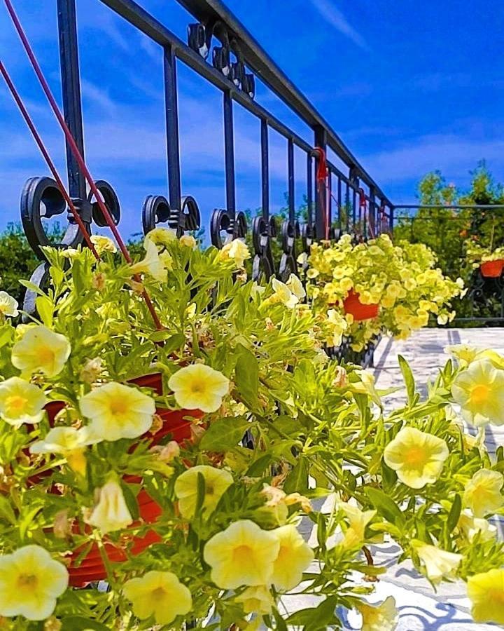 Apartmani Dumezic بار الغرفة الصورة