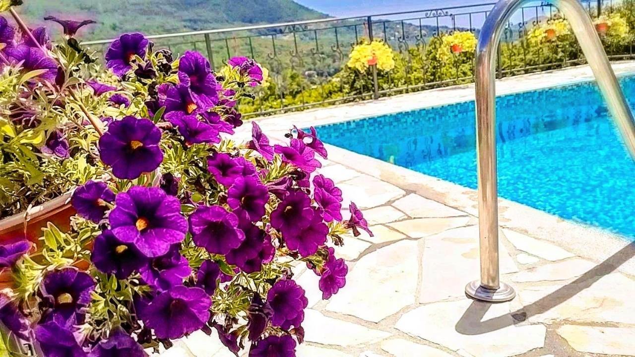 Apartmani Dumezic بار الغرفة الصورة
