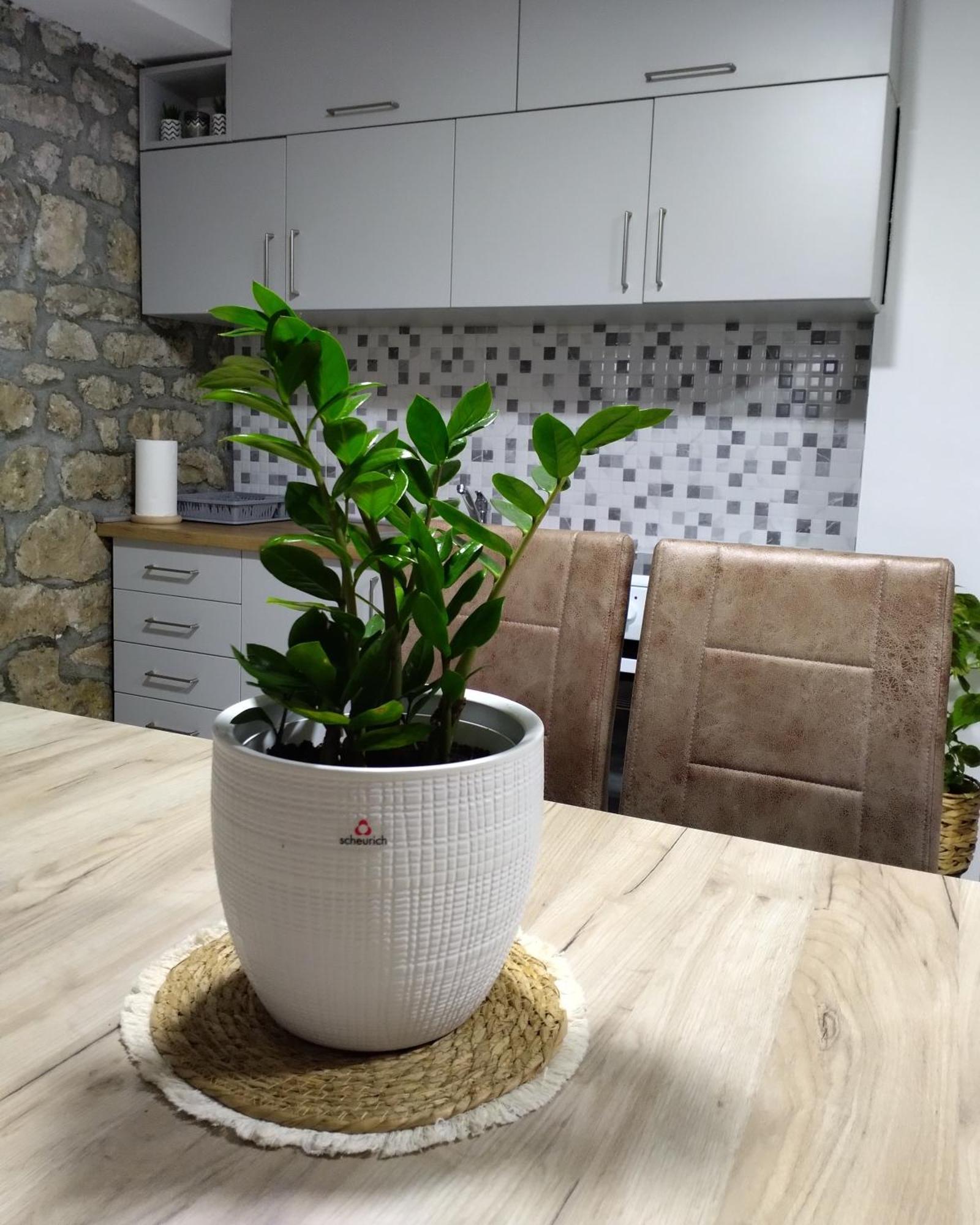 Apartmani Dumezic بار الغرفة الصورة
