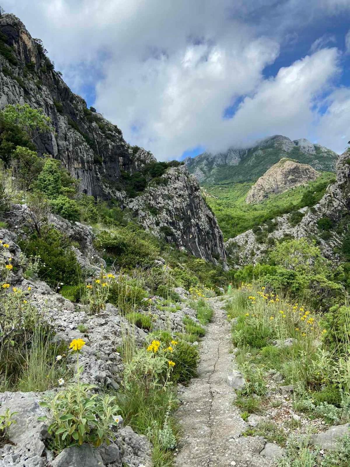 Apartmani Dumezic بار المظهر الخارجي الصورة